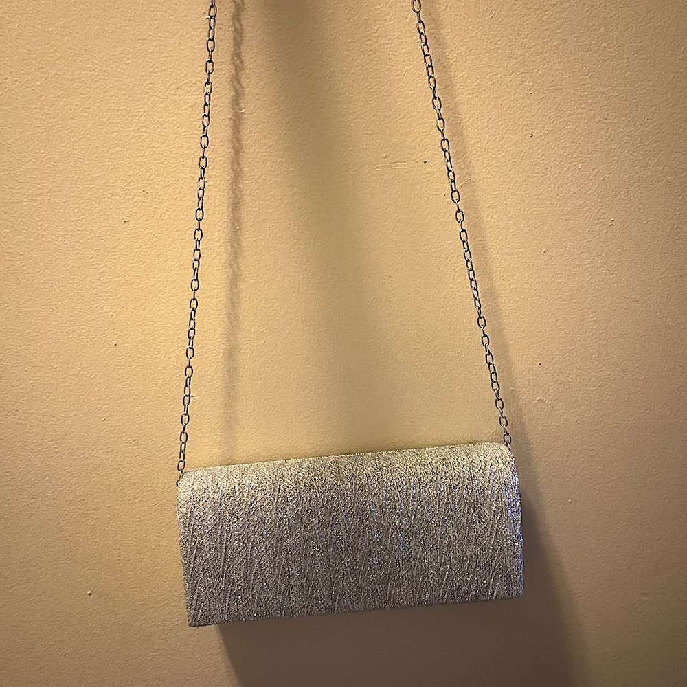 Stunning Silver Purse